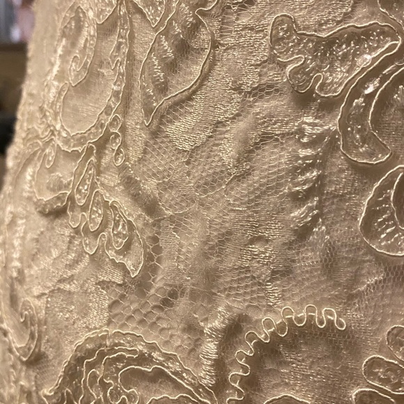 Wedding Gown - 8 Petite - Never Worn - Picture 10 of 13